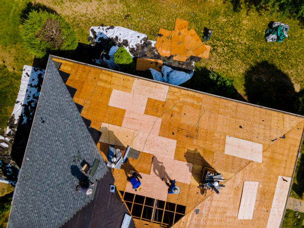 Best New Roof Installation  in Agua Dulce, TX