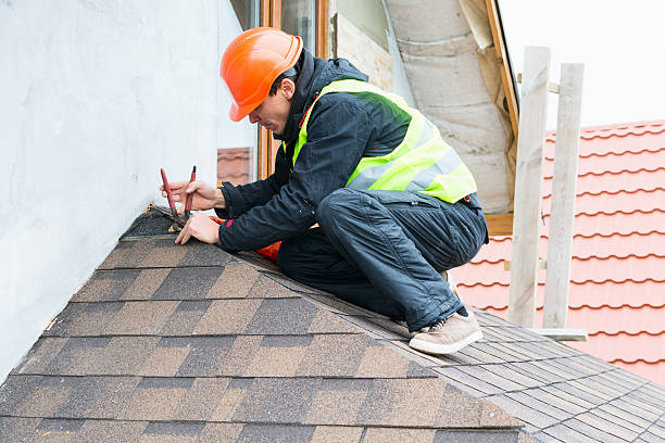 Best Gutter Installation and Roofing  in Agua Dulce, TX